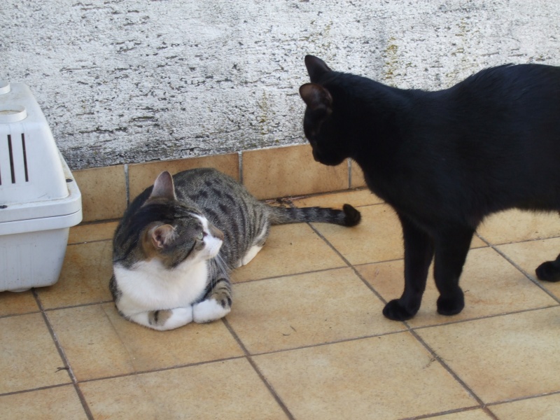 Ostern 2007 Orleshausen 069 